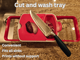 WASH AND CUT TRAY 3d model