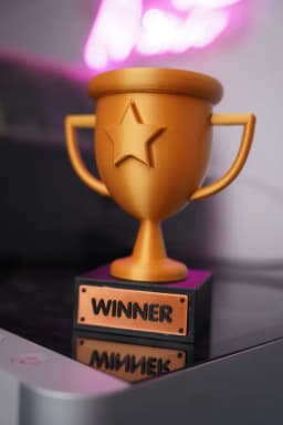 WINNER Trophy - Multipart 3d model