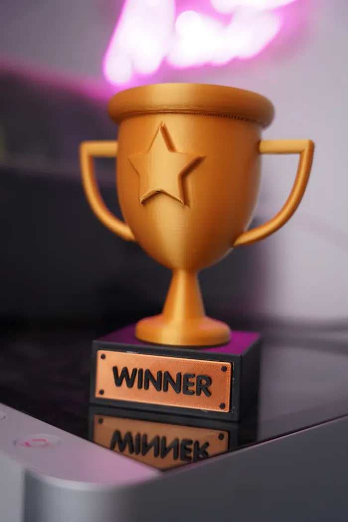 WINNER Trophy - Multipart 3d model
