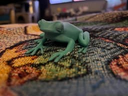 Funky Frog Figure 3d model