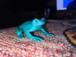 Funky Frog Figure 3d model