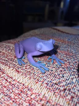 Funky Frog Figure 3d model