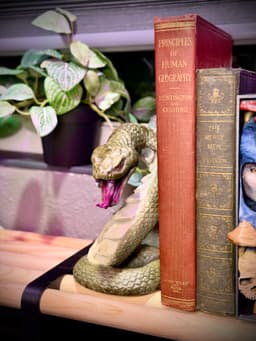 Snake bookends 3d model