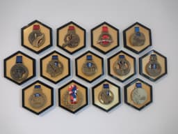 2 Color Hexagonal Medal Holder Hanger Frame 3d model