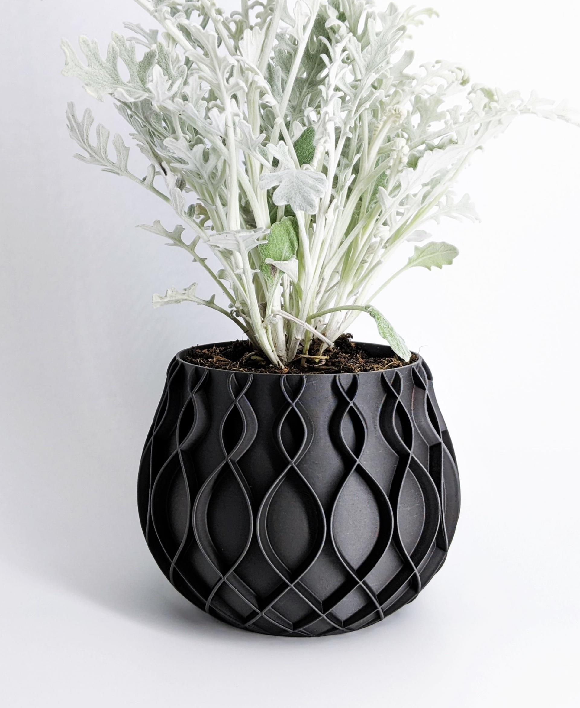 Plant Pot "Bellvere" | Small Planter for Succulents & Big Garden Pots | Drain Tray Version included 3d model