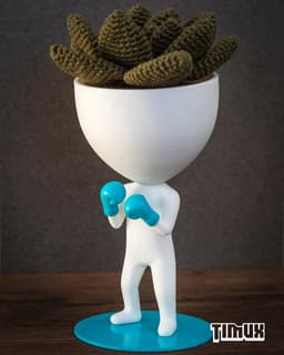 ROBERT PLANT BOXING 3d model