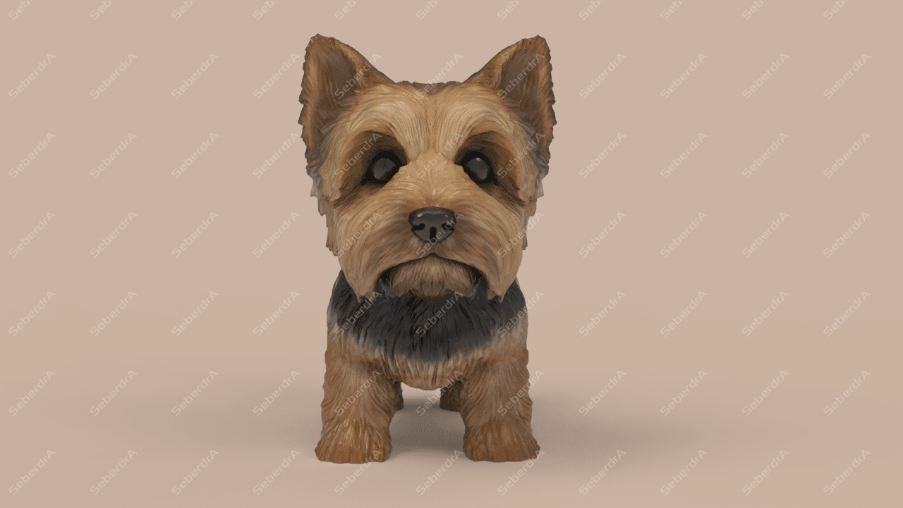 Cute Yorkshire Terrier 3d model