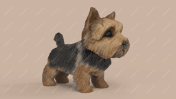 Cute Yorkshire Terrier 3d model