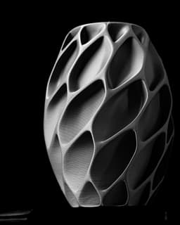 Exo Flower Vase by MODERN MACHINE 3d model