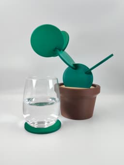 Cactus Coasters Set 🌵 3d model