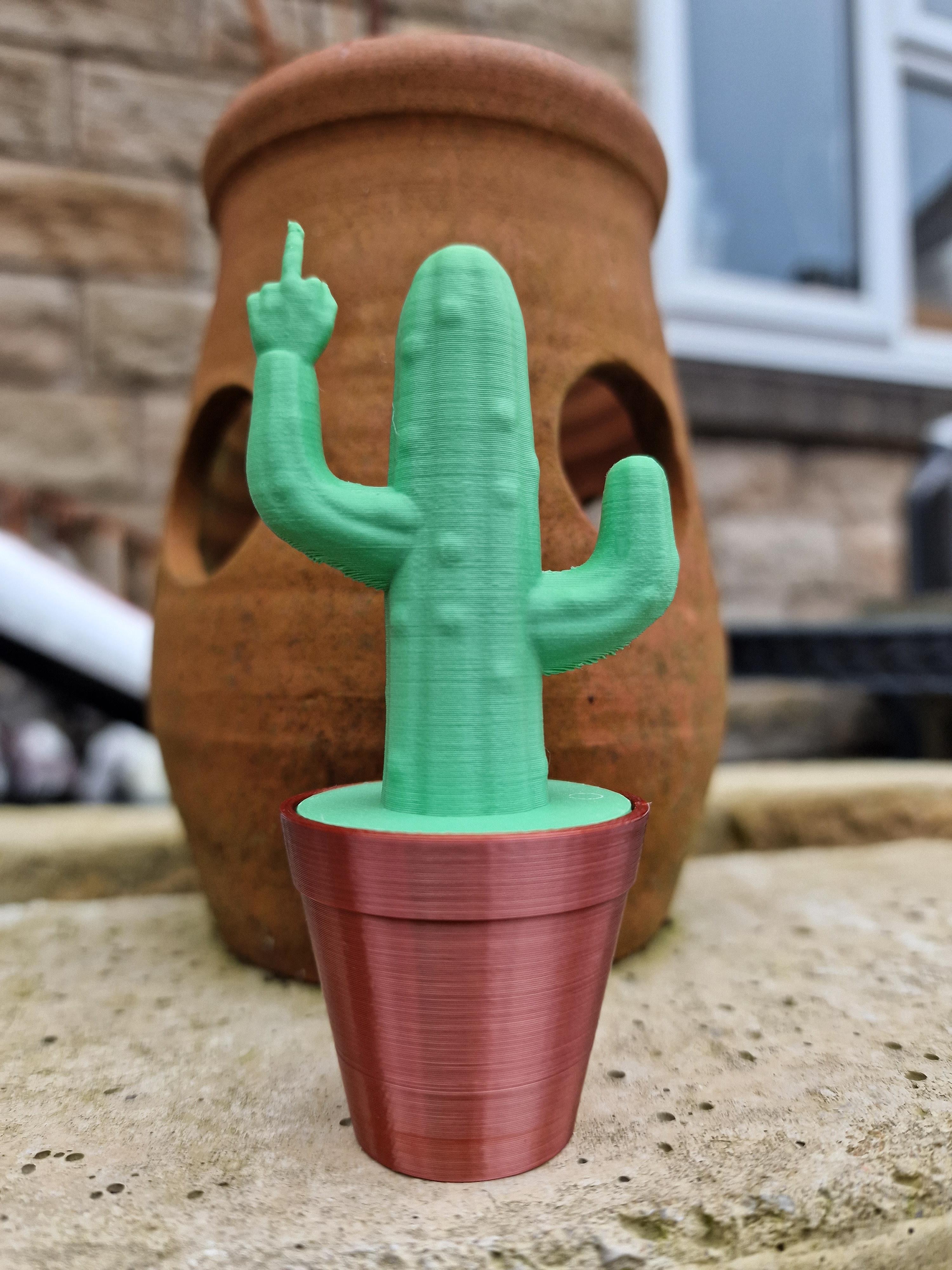 Succulent With an F Cactus Pot 3d model