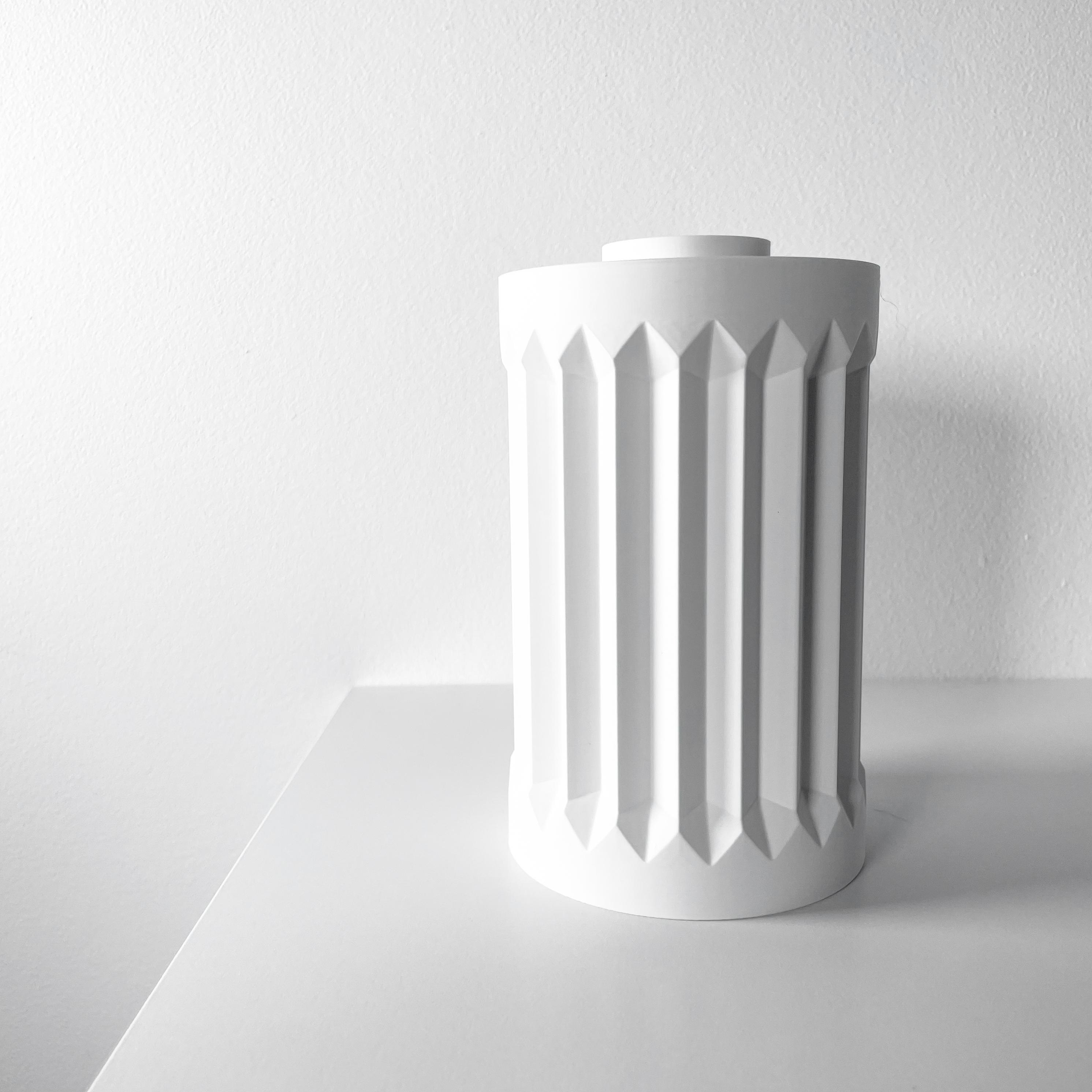 The Draxi Vase, Modern and Unique Home Decor for Dried and Flower Arrangements  | STL File 3d model