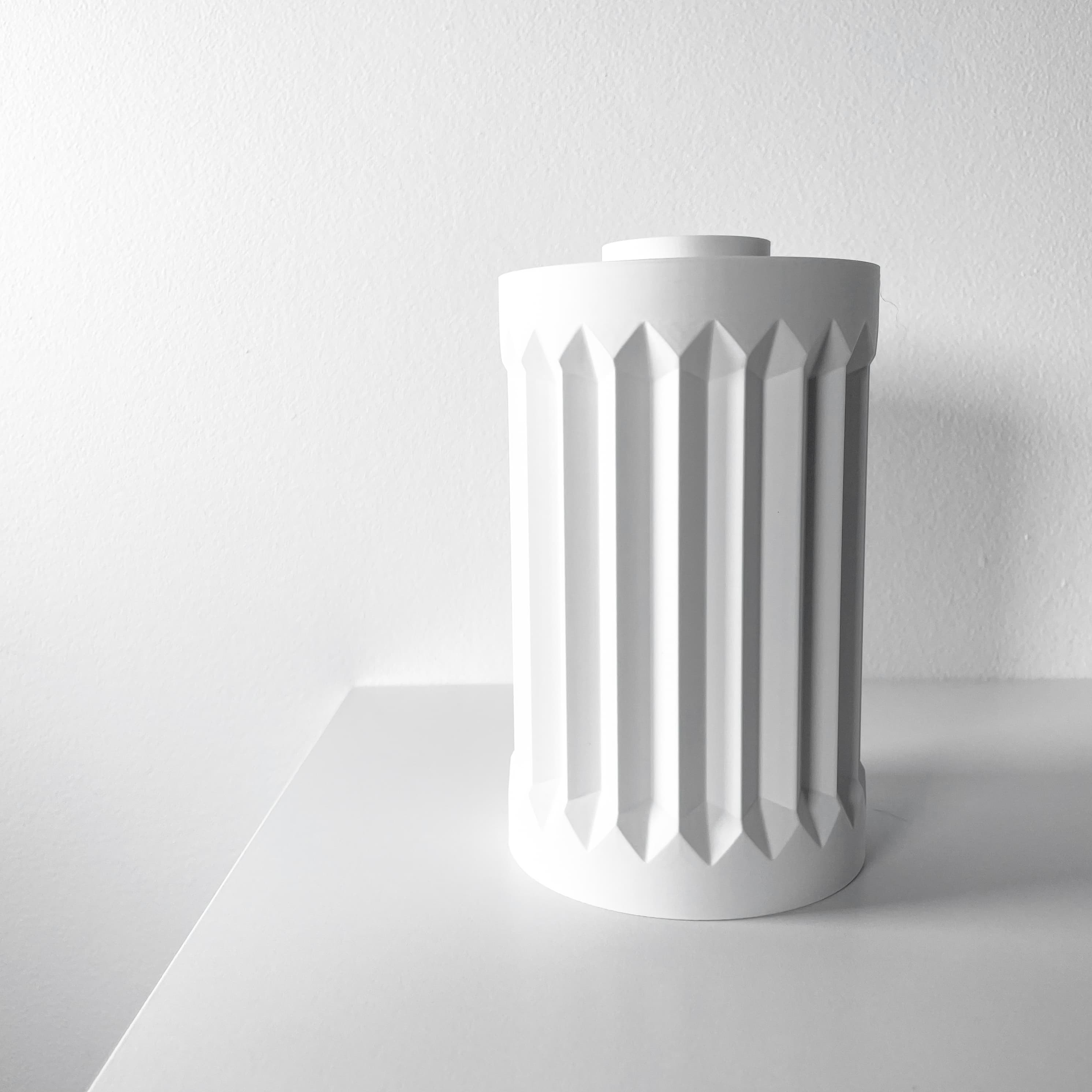 The Draxi Vase, Modern and Unique Home Decor for Dried and Flower Arrangements | STL File 3d model