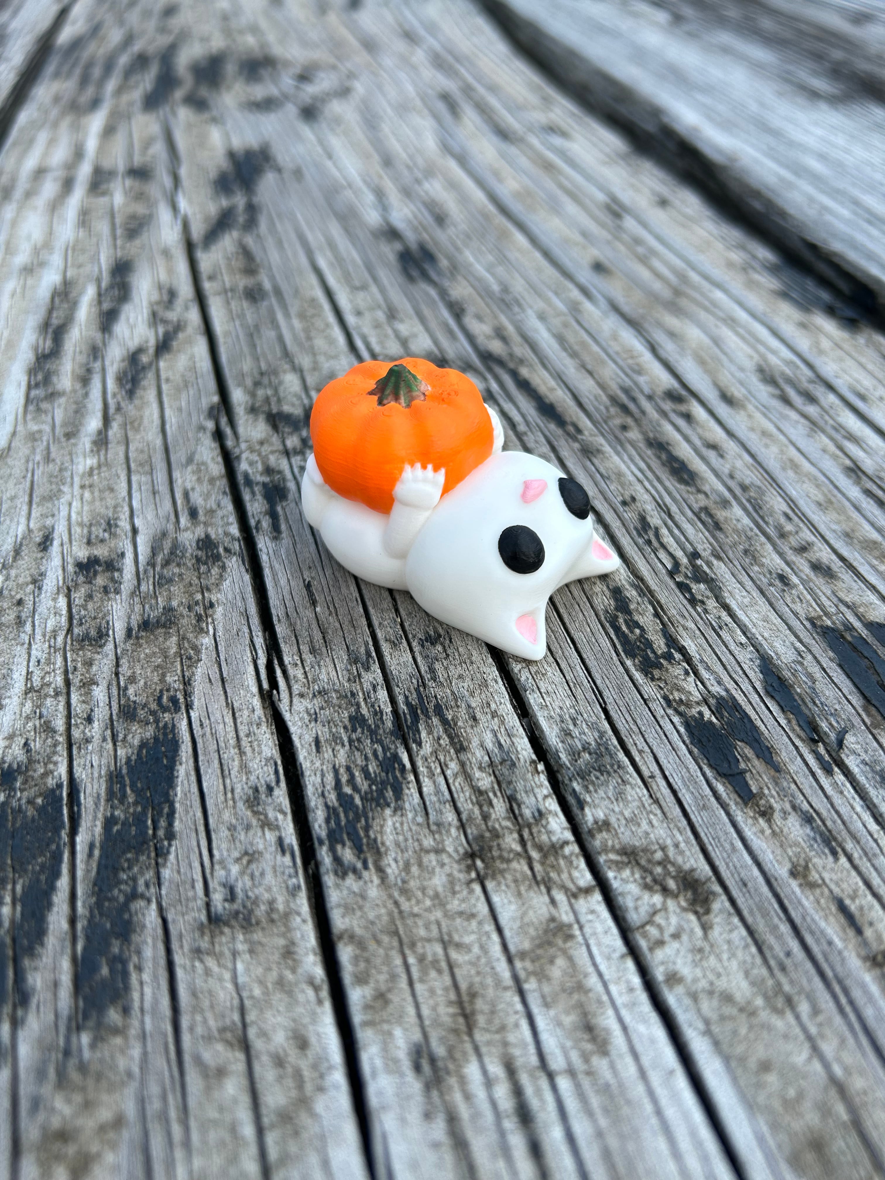 Cat Playing with Pumpkin 3d model