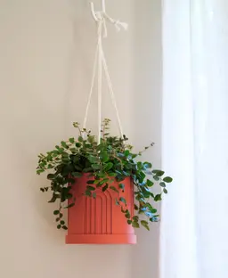 Solace Hanging Planter 3d model