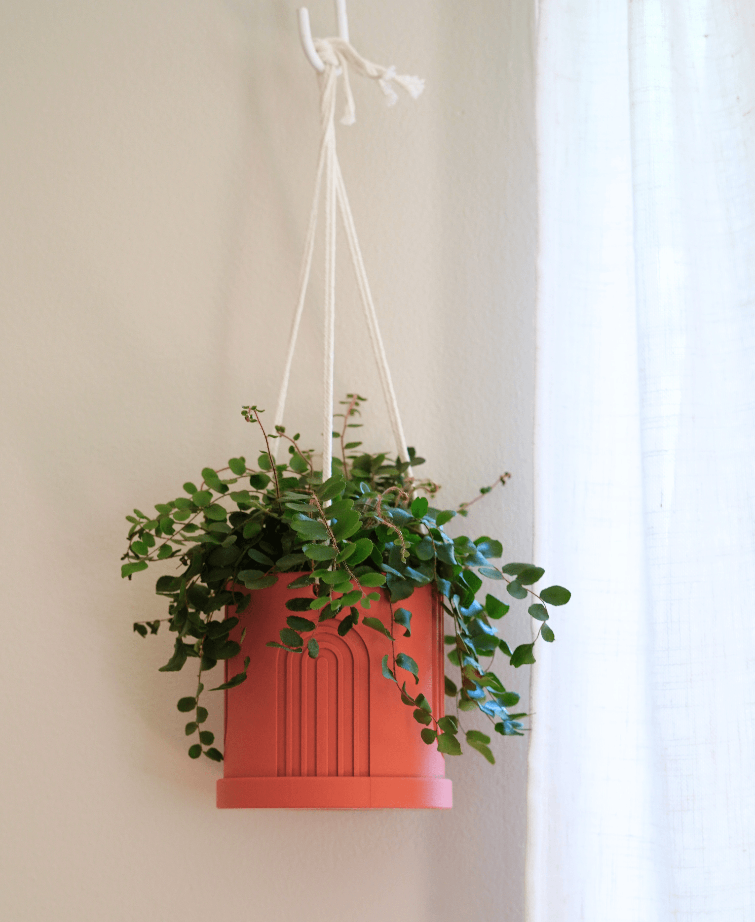 Solace Hanging Planter 3d model