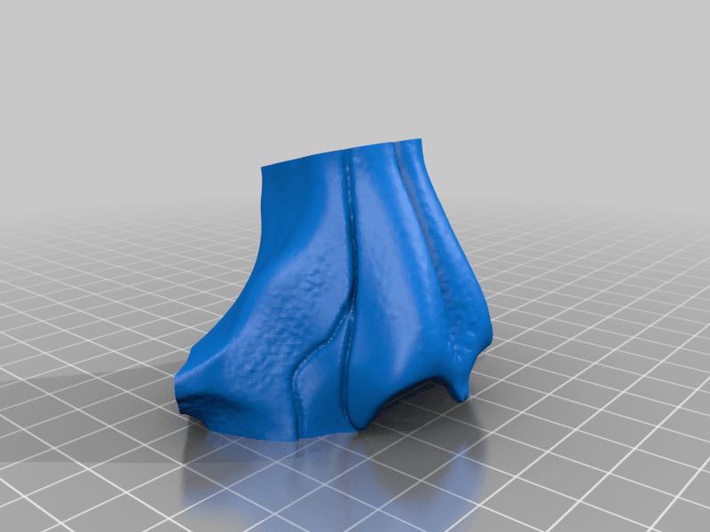 Cat Skull Mask 3d model