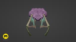 Boiga Snake Skull Dispholidus Typus 3d model