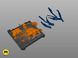 Boiga Snake Skull Dispholidus Typus 3d model