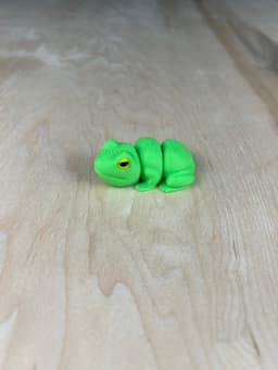 Frog Fidget 3d model