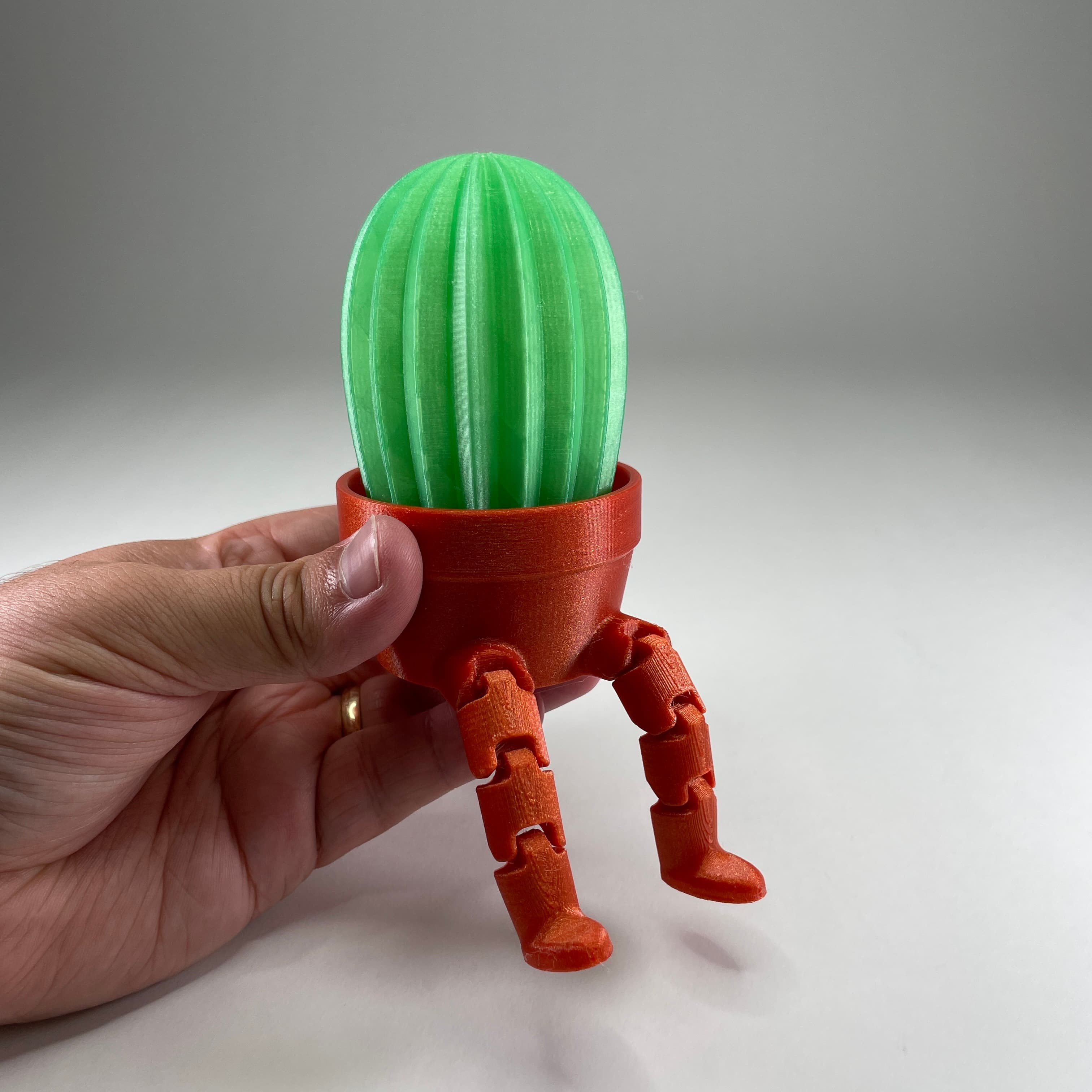 Cactus Pal 3d model