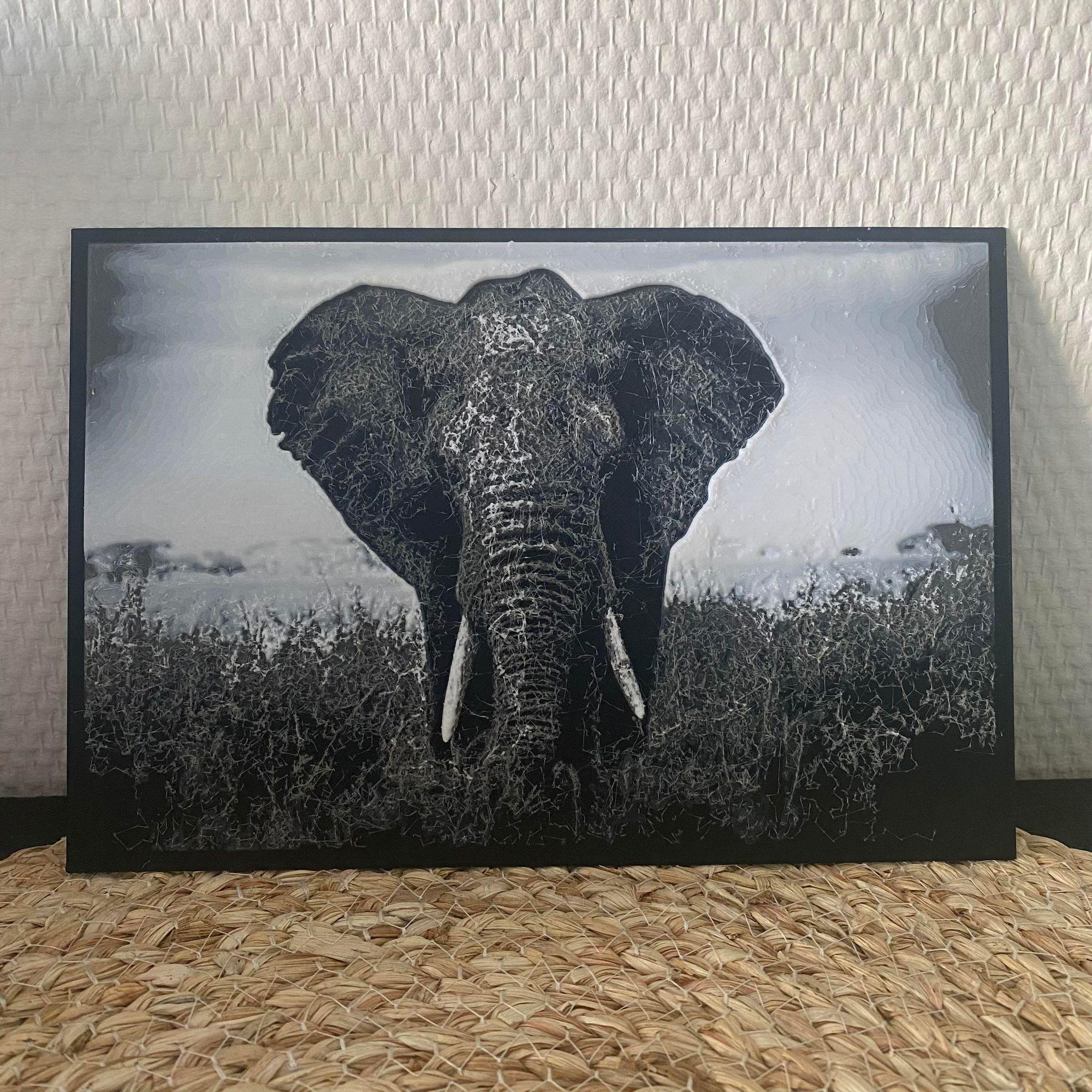 Hueforge - African Elephant.stl 3d model