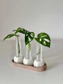 PROPAGIA plant propagation station 3d model
