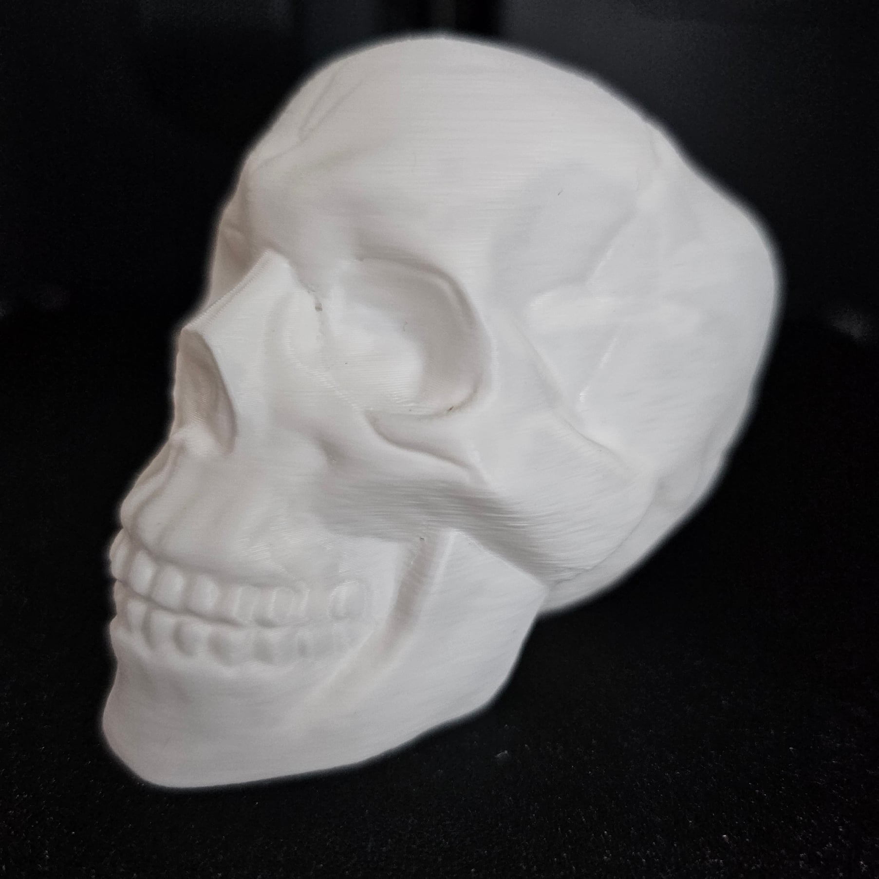 Human Skull 3d model