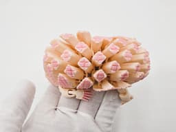 Flexi Pink Fairy Armadillo 3d model