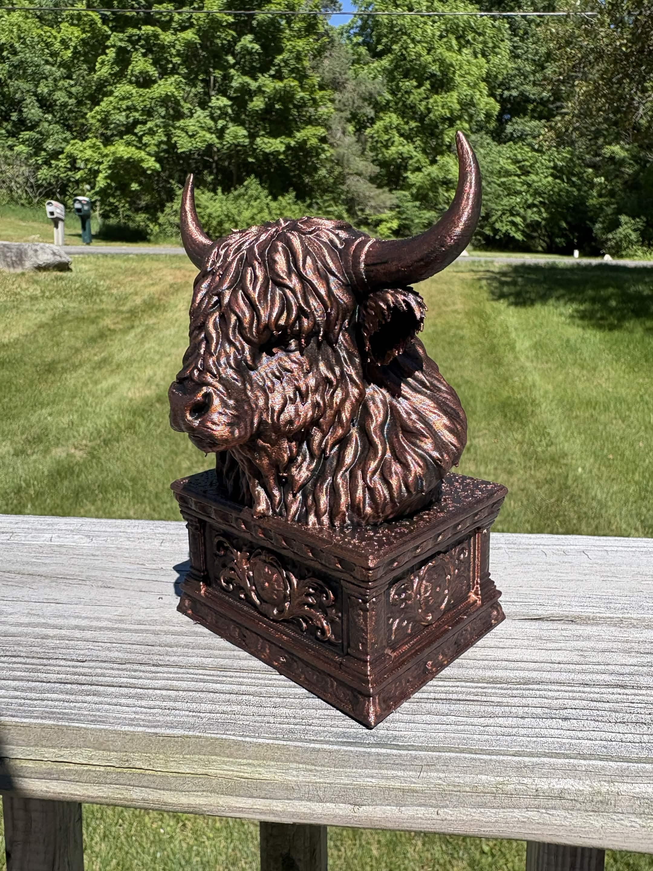 Highland Cow Bust 3d model