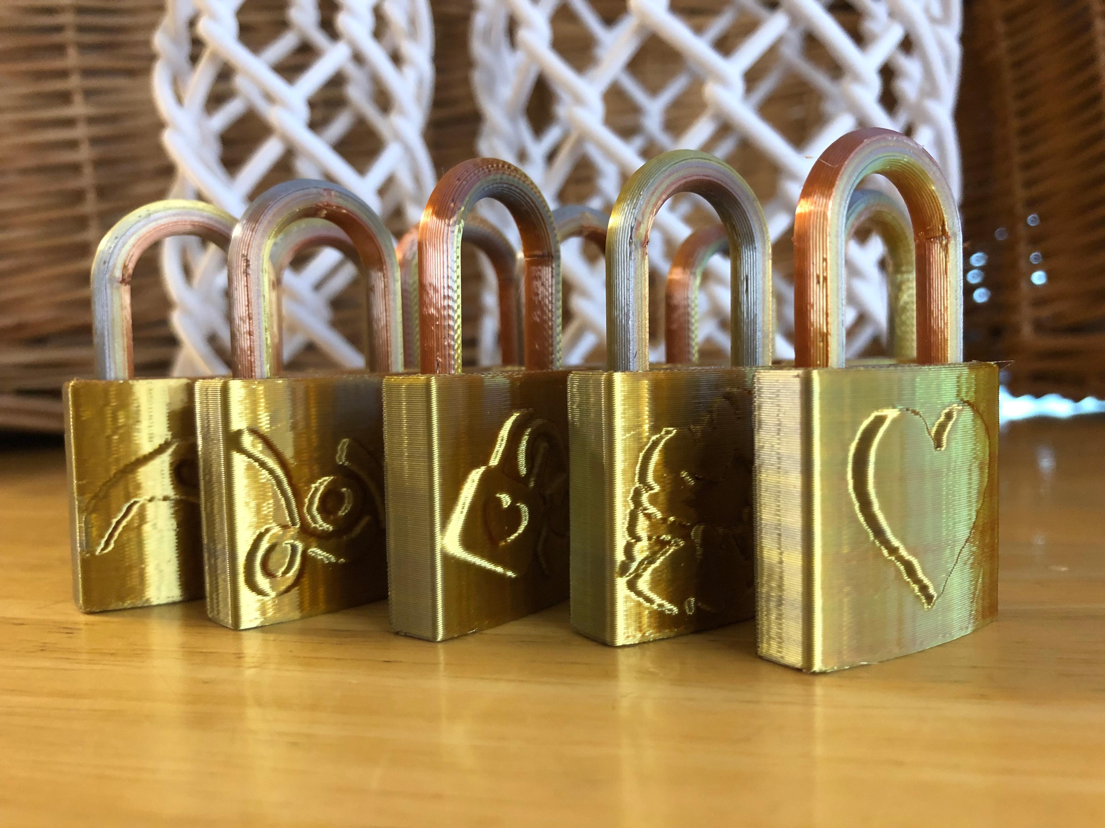 A Dozen Love Locks 3d model