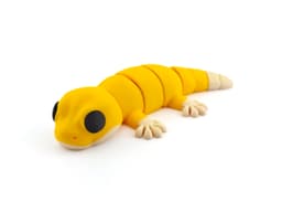 Gecko 3d model