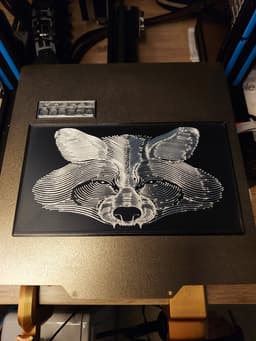 Raccoon Portrait 1 3d model