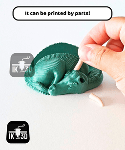 Sleepy Dragon Phone & Card Holder / No Supports / Multiparts or Multicolor 3d model