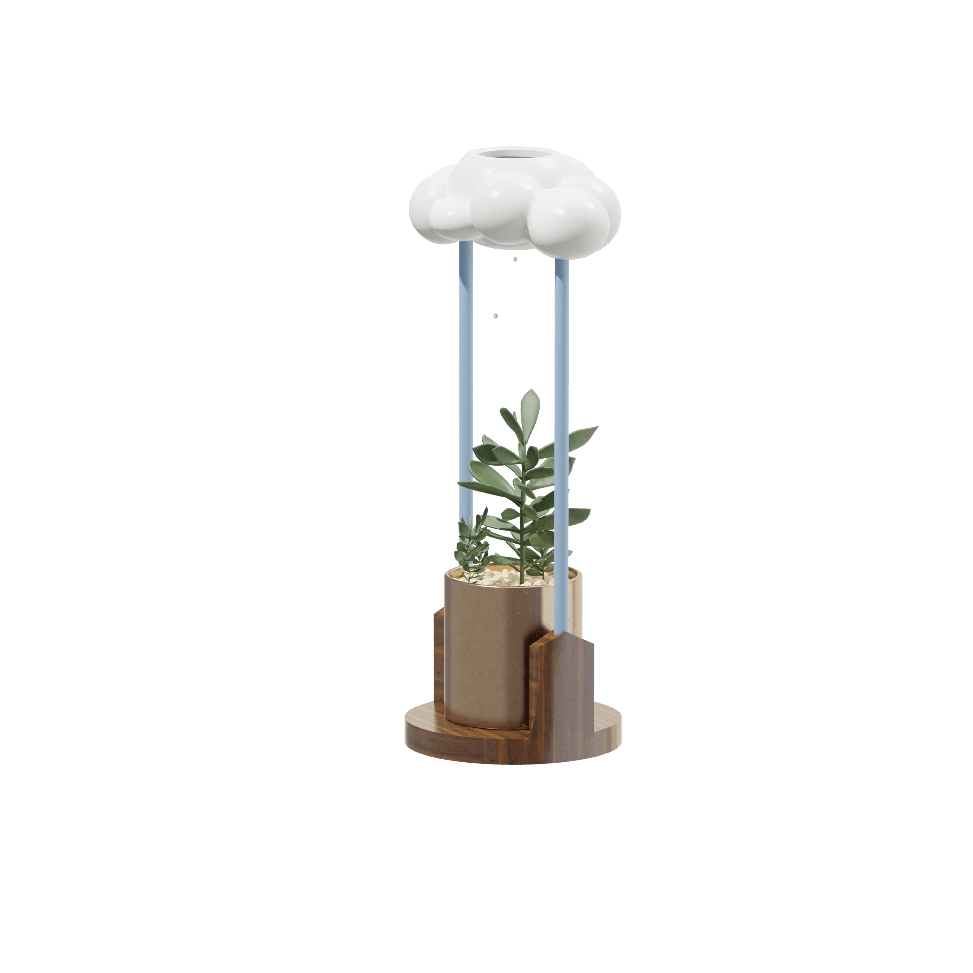 Rain Cloud Pot 3d model