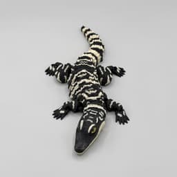 Articulated Baby Alligator| Pre-Painted + Optional 8mm Glass Eye Version 3d model