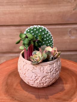 Lace Bowl Planter — Floral Relief Succulent Pot 3d model