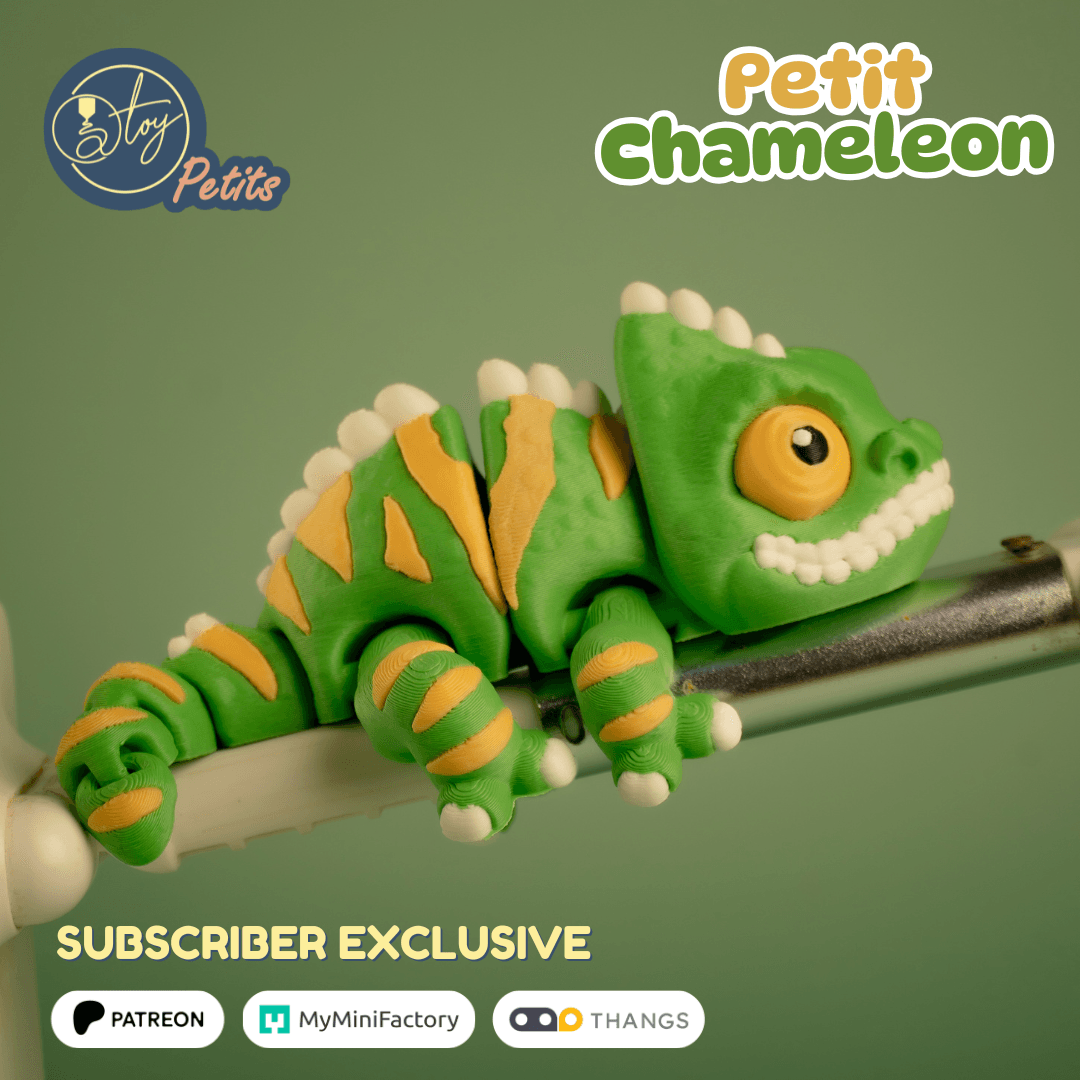 Petit Chameleon 3d model