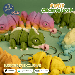 Petit Chameleon 3d model
