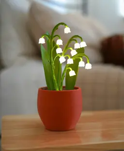 Night Light Lilies - The Lily of the Valley Night Light 3d model