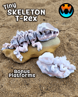 Tiny Skeleton T-Rex 3d model