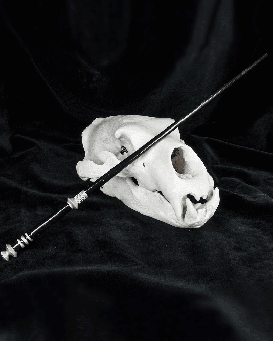 Corban Yaxley's Wand - Harry Potter 3d model