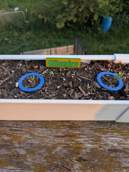 Plant Marker Tags 3d model
