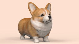 Cute Corgi 3d model