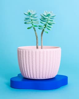 Fuzzy Stripes Planter // 90x60mm 3d model