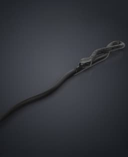 Peter Pettigrew's Second Wand - Harry Potter 3d model