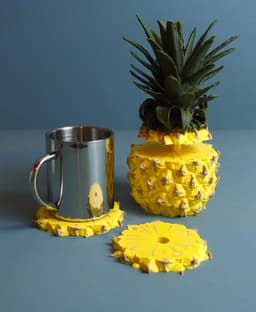 Pineapple coasters 3d model