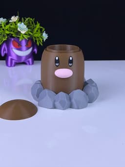 Diglett Container 3d model