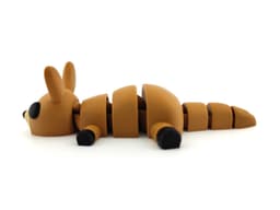 Kangaroo 3d model