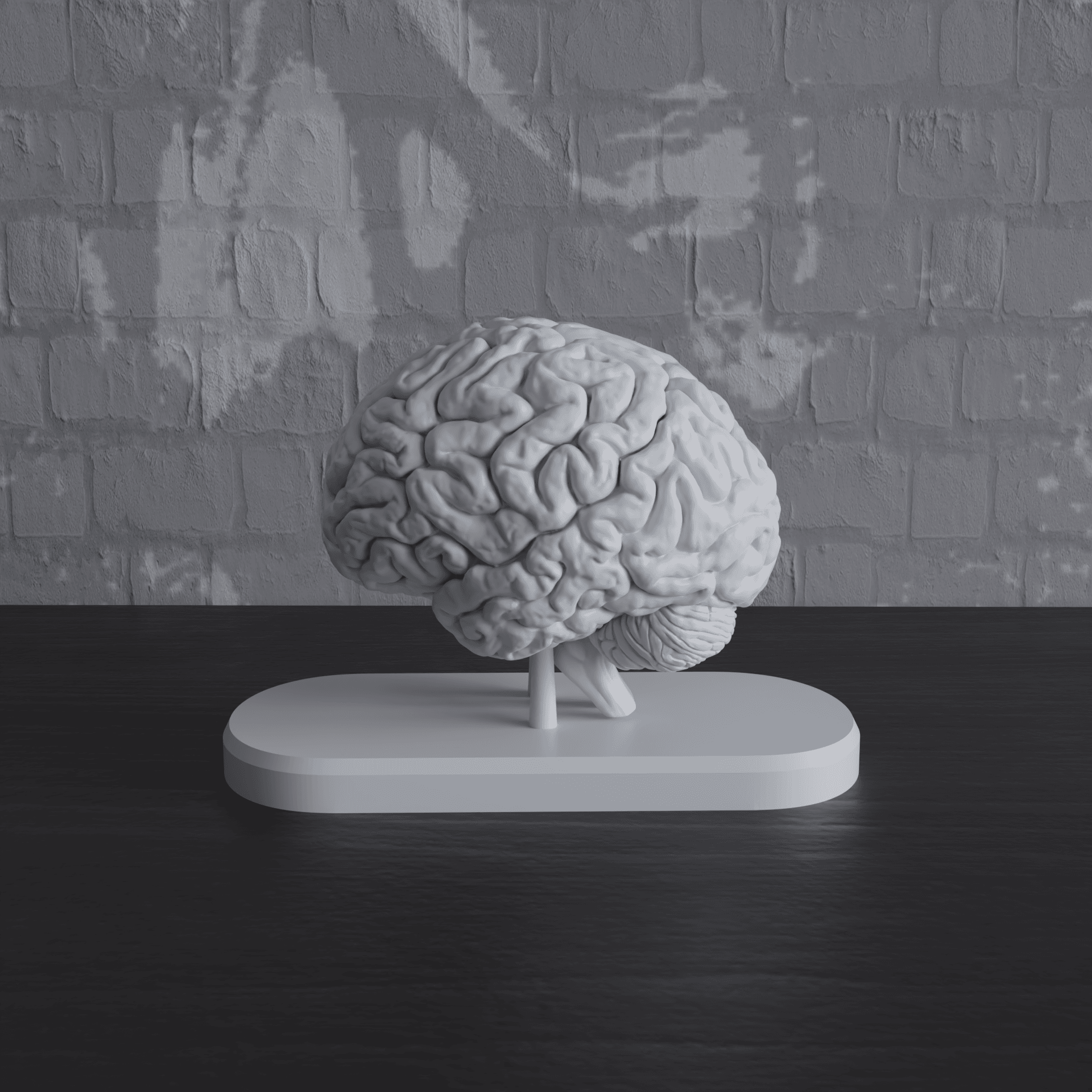 Brain Anatomy Cross-Section with Magnets 3d model